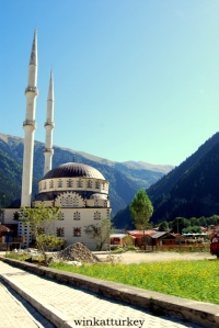 Mosque Uzungol
